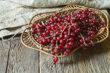 Similar image 21193126