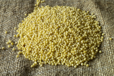 Similar image 21193166