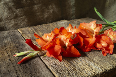 Similar image 21193167