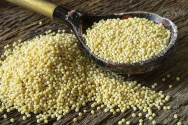 Similar image 21193178