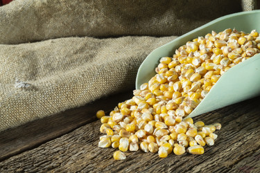 Similar image 21193183