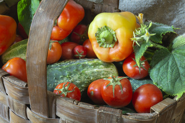 Similar image 21193184