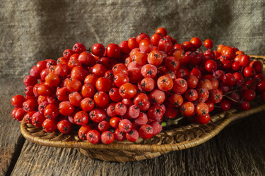 Similar image 21192954