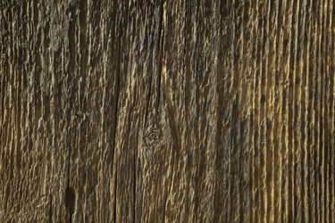 Similar image 21192966