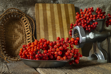 Similar image 21192980