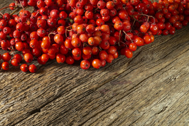 Similar image 21192982