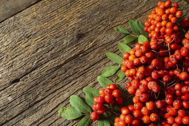 Similar image 21192984