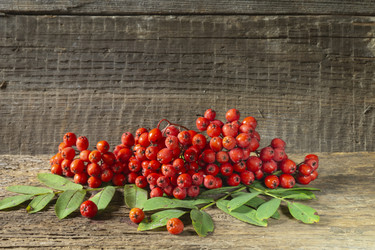 Similar image 21192987