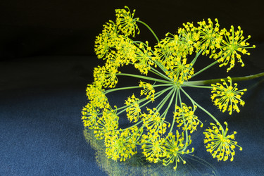 Similar image 21192988