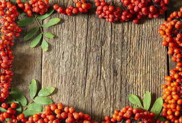 Similar image 21192990