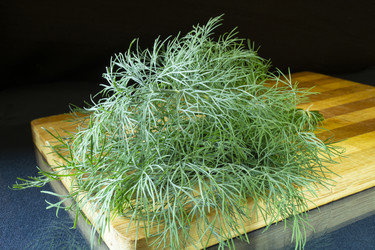 Similar image 21192993