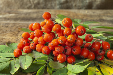 Similar image 21192996