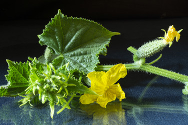 Similar image 21192997