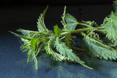 Similar image 21192999