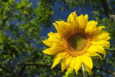 Similar image 21193195