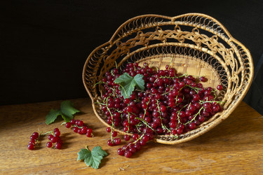 Similar image 21193279