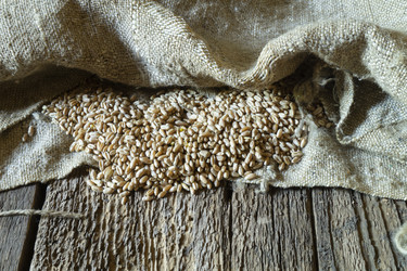 Similar image 21193281