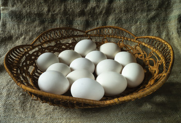 Similar image 21193287