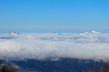 Similar image 21190295