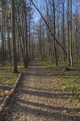 Similar image 21186903