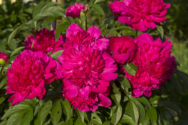 Similar image 21186905