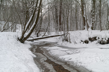 Similar image 21186906