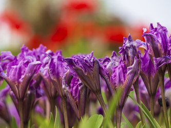 Similar image 21192323