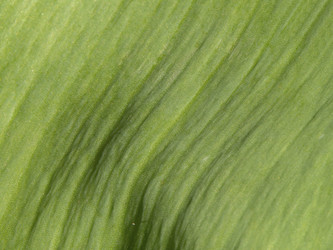 Similar image 21192326