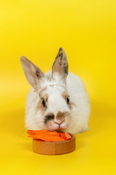 Similar image 21194949