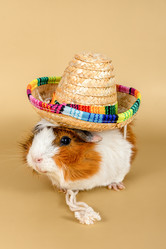 Similar image 21194955