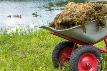 Similar image 21194974