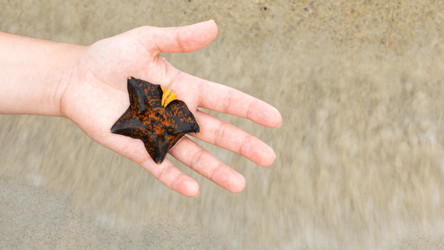 Similar image 21189530