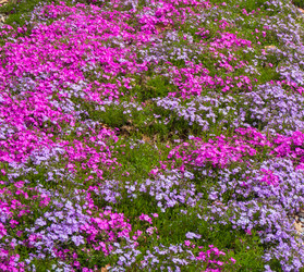 Similar image 21192327