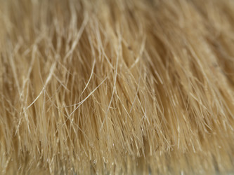 Similar image 21192335