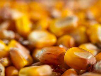 Similar image 21192337