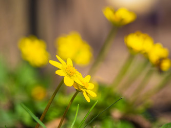 Similar image 21194984