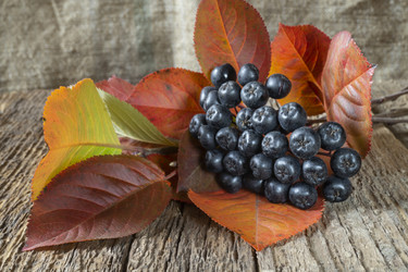 Similar image 21193003