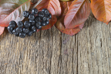 Similar image 21193005