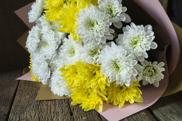 Similar image 21193129