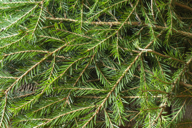 Similar image 21193200