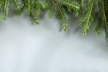 Similar image 21193205