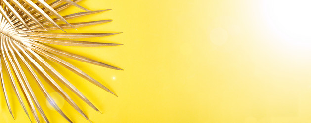 Similar image 21187099