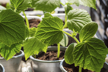 Similar image 21192304