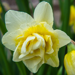 Similar image 21192305