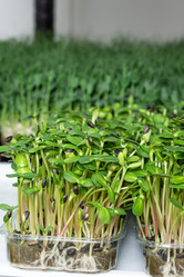 Similar image 21194991