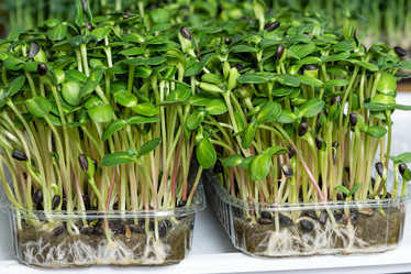 Similar image 21194992