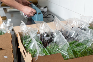 Similar image 21194993