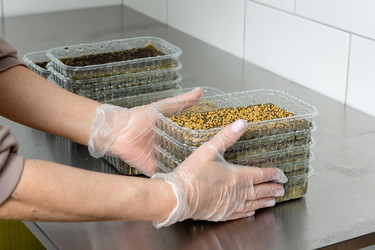 Similar image 21194997