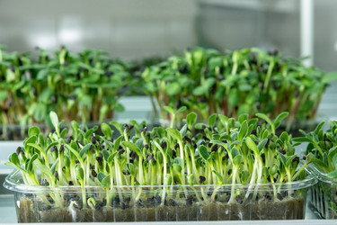 Similar image 21195001