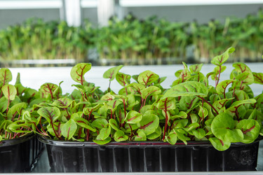 Similar image 21195002